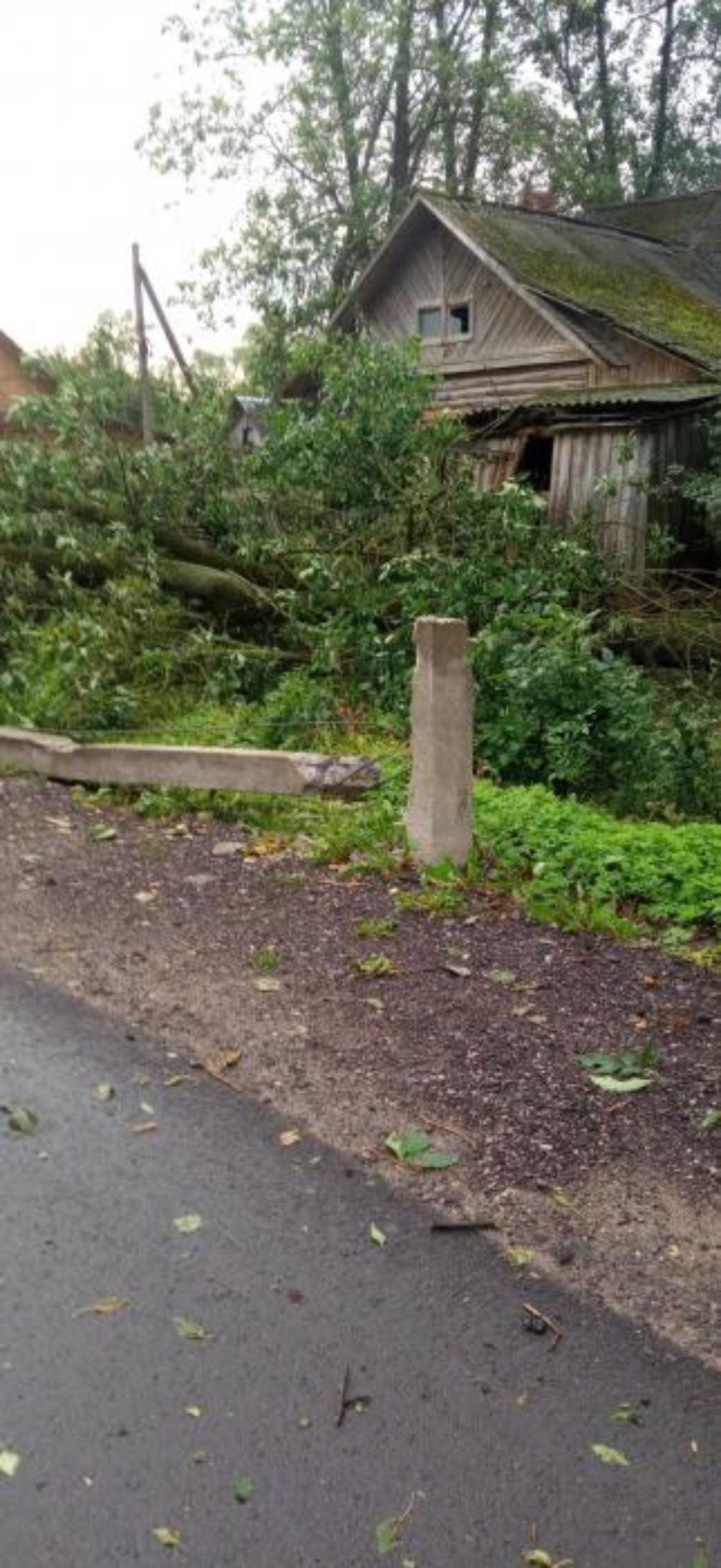 В Порховском районе ликвидируют последствия грозы