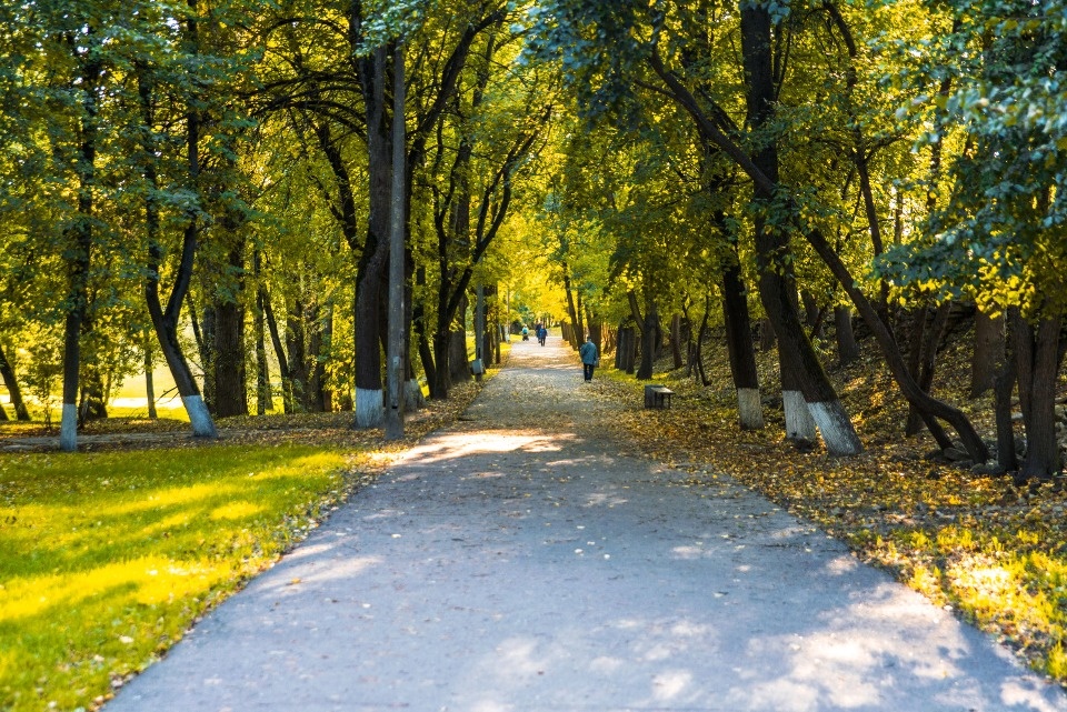 День без осадков прогнозируют псковичам 5 сентября