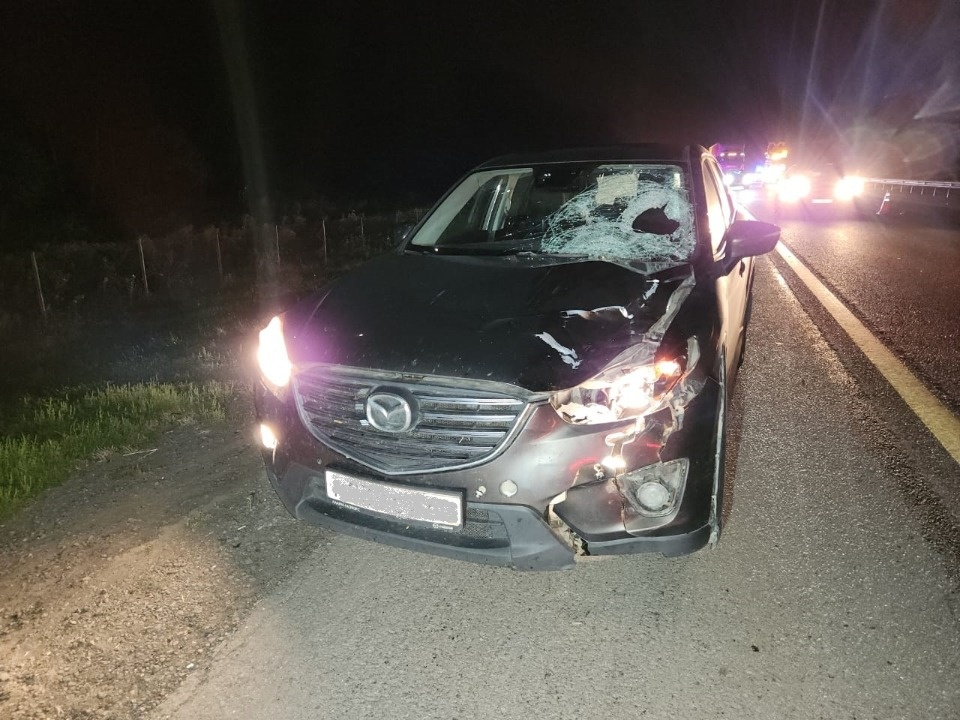 Псковичка стала участницей смертельного ДТП на трассе М-4 «Дон» в Воронежской области