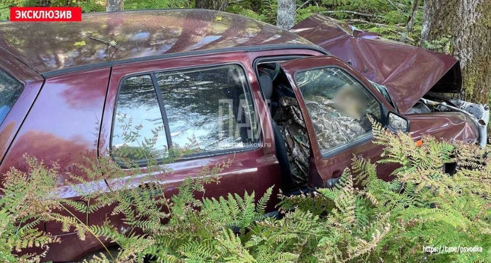 В Островском районе обнаружили автомобиль с мертвым человеком