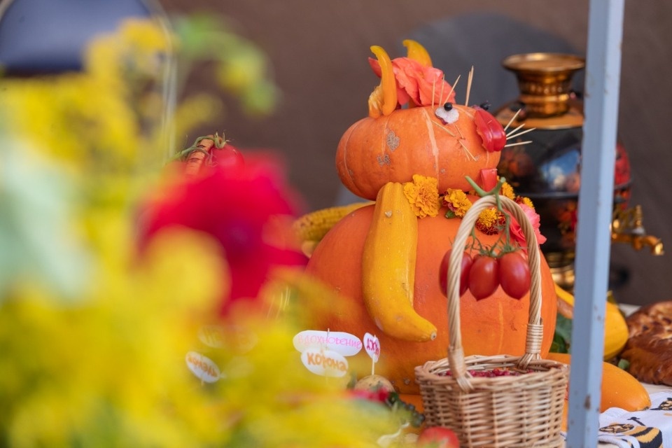 В Невельском районе прошел праздник урожая «Ветеранское подворье» 