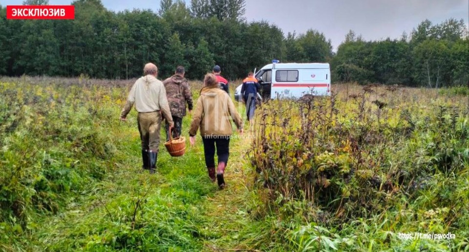 Спасатели из Гдова помогли заблудившимся жителям Ленинградской области