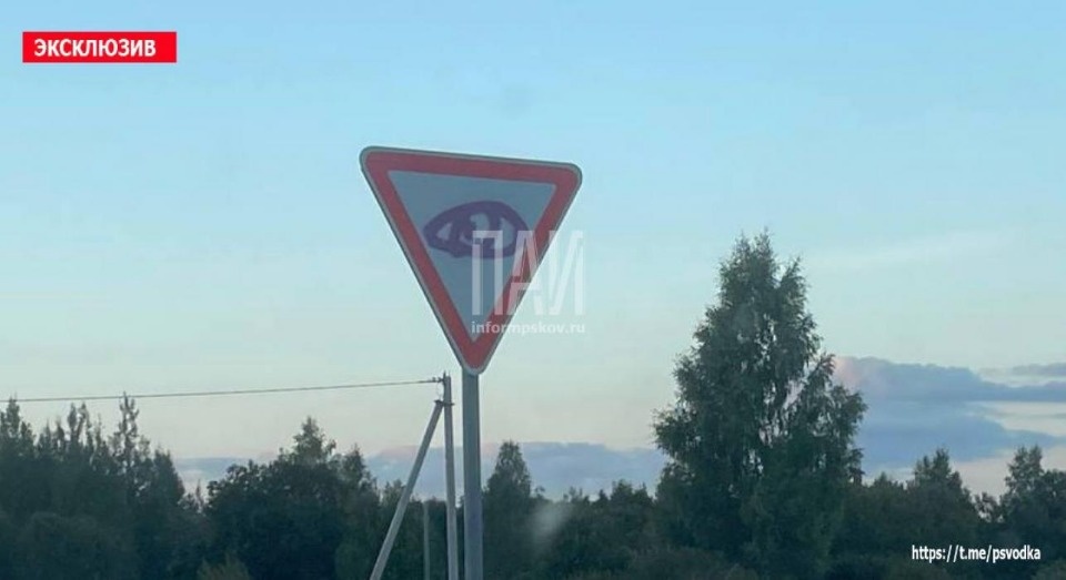 В Псковском районе двое подростков разрисовали дорожные знаки