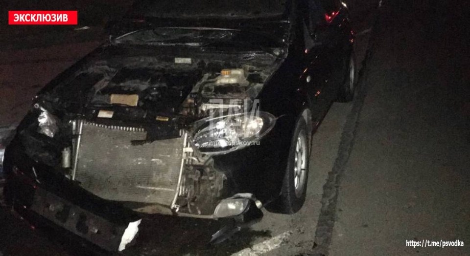 В Пскове водитель сбил лося