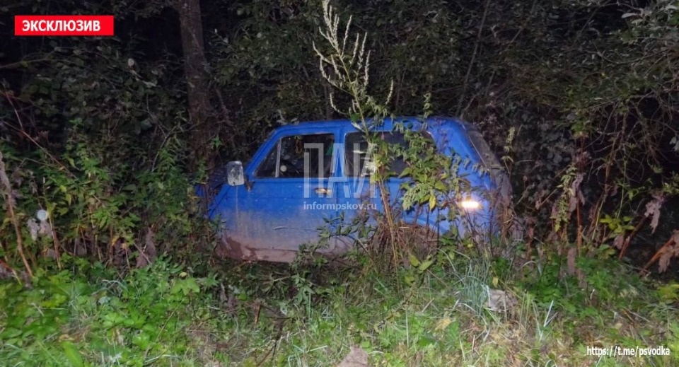 Пьяный водитель устроил ДТП в Дедовичском районе и сбежал    