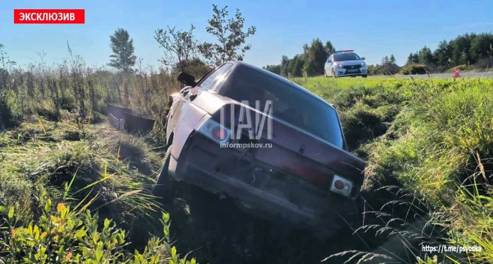 В Палкинском районе в результате ДТП госпитализировали двух человек