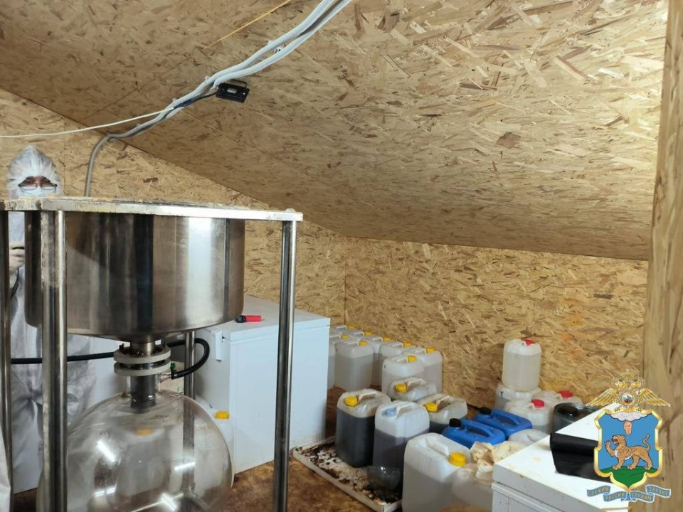 В Псковской области задержали москвича, пытавшегося сбыть 29 кг наркотиков