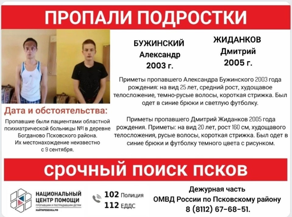 Из психиатрической больницы под Псковом сбежали двое юношей