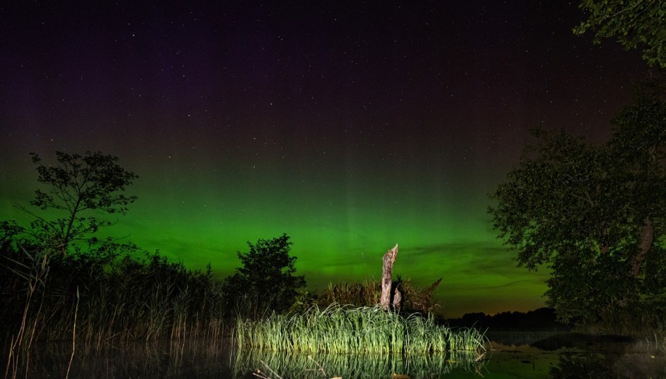 Яркое северное сияние запечатлели на ночном небе псковские астрономы-любители