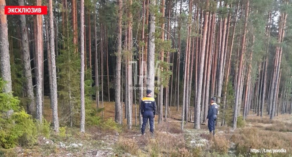 Заблудившуюся в лесу женщину нашли спасатели в Гдовском районе