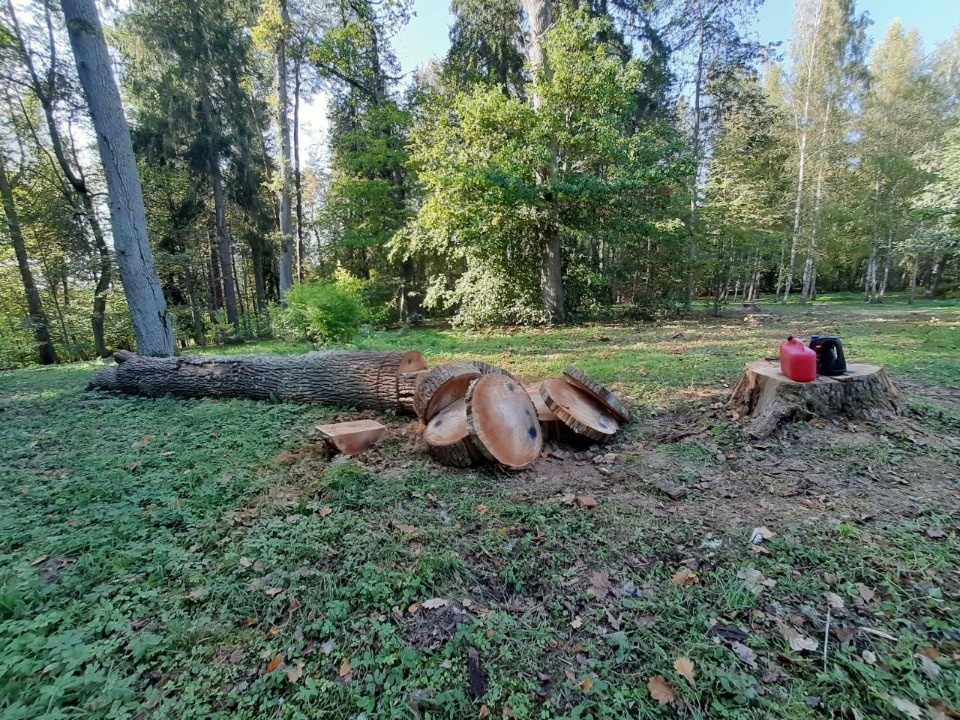 «Солнечные часы» отреставрируют в парке усадьбы «Тригорское» в Пушкиногорском районе «Солнечные часы» отреставрируют в парке усадьбы «Тригорское» в Пушкиногорском районе