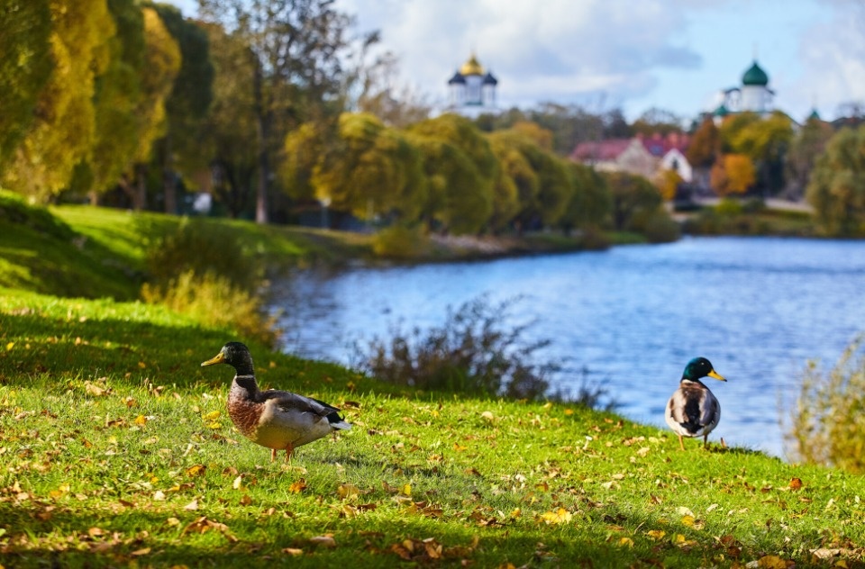 Псков вошел в десятку направлений для отдыха на озерах и реках в октябре Псков вошел в десятку направлений для отдыха на озерах и реках в октябре
