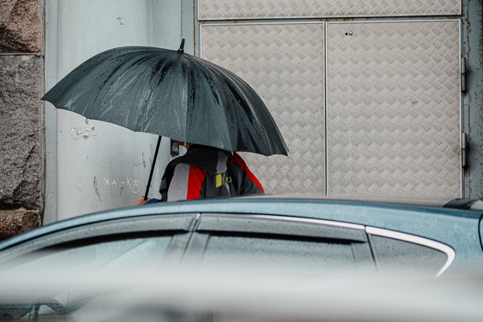 Дождливый день прогнозируют жителям Псковской области 6 октября