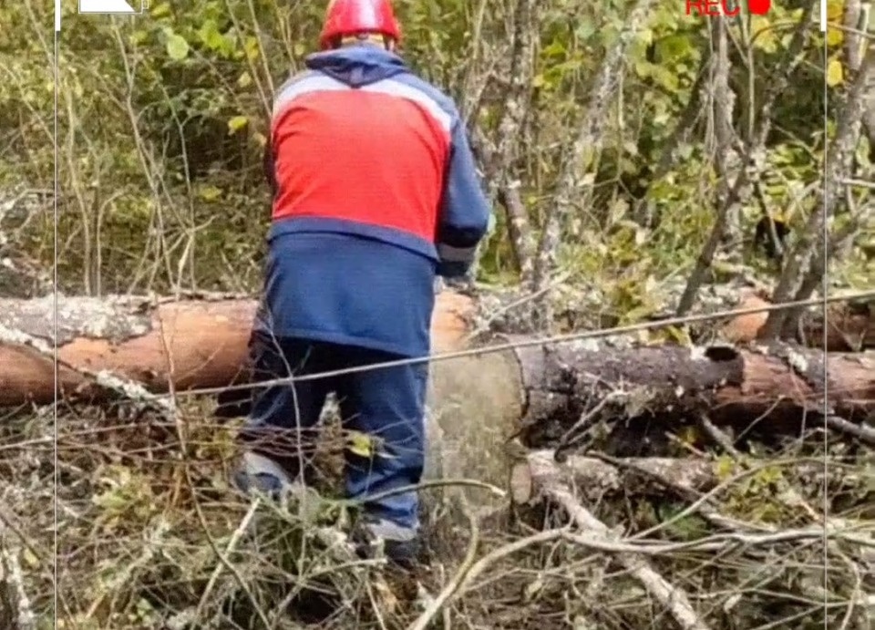 Более 80 бригад энергетиков устраняют последствия непогоды в Псковской области Более 80 бригад энергетиков устраняют последствия непогоды в Псковской области
