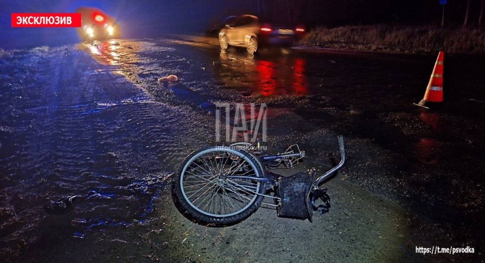 Велосипедистка погибла в результате ДТП в Опочецком районе Велосипедистка погибла в результате ДТП в Опочецком районе