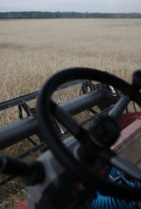 «Накормим всех» 