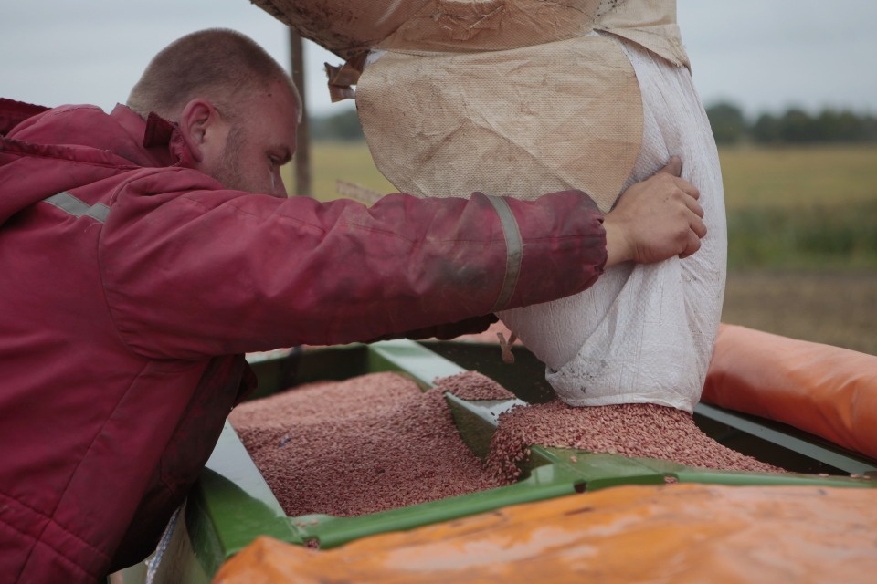 «Накормим всех» 