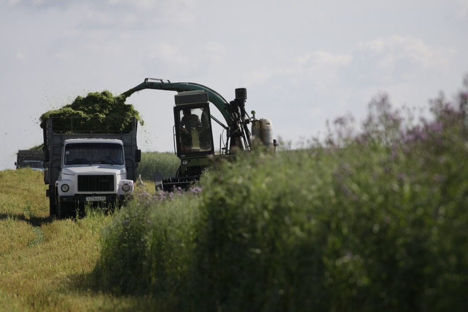 «Накормим всех» 