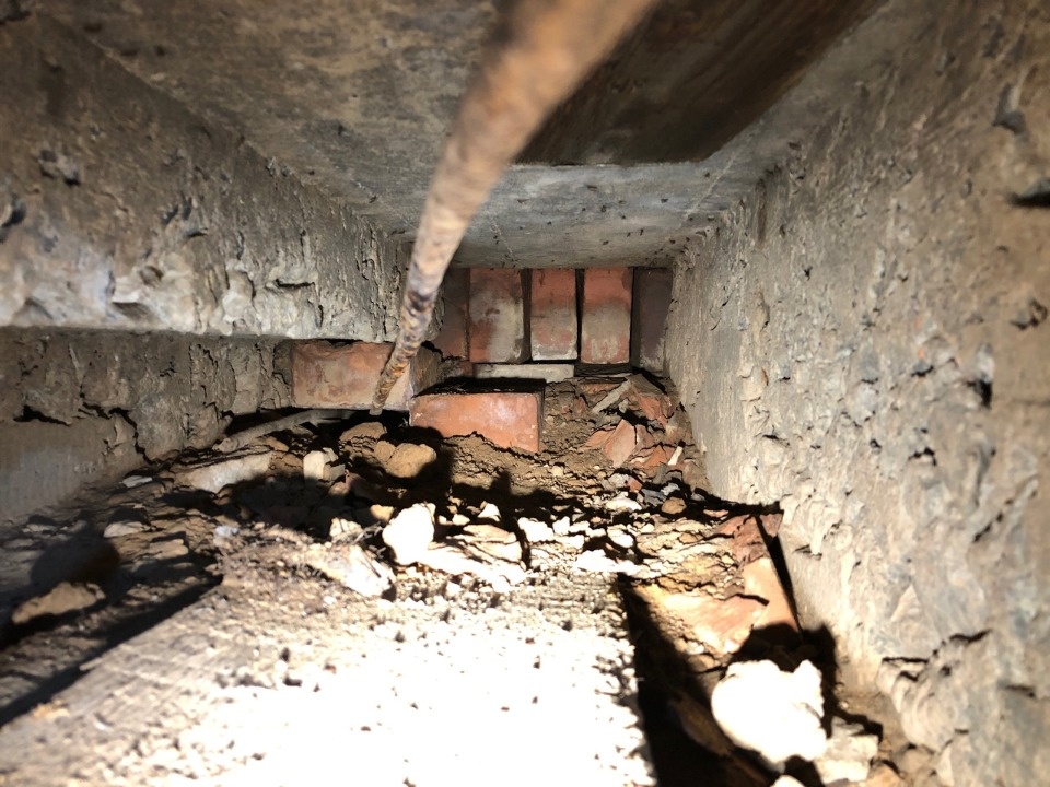 Необычные находки обнаружили во время экспедиции в Себежском районе 