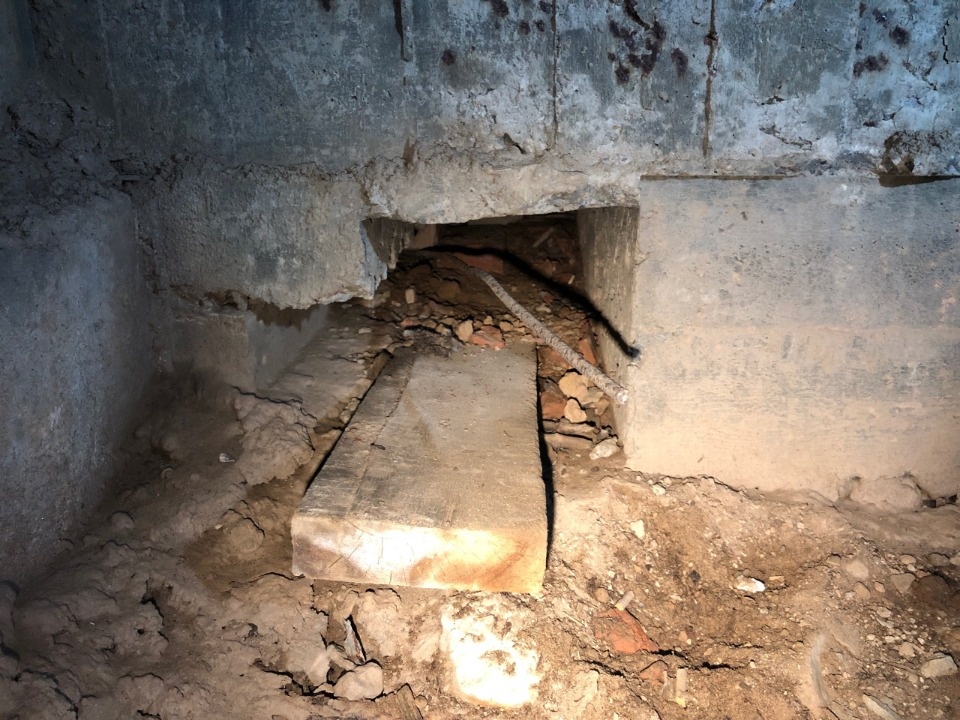 Необычные находки обнаружили во время экспедиции в Себежском районе 