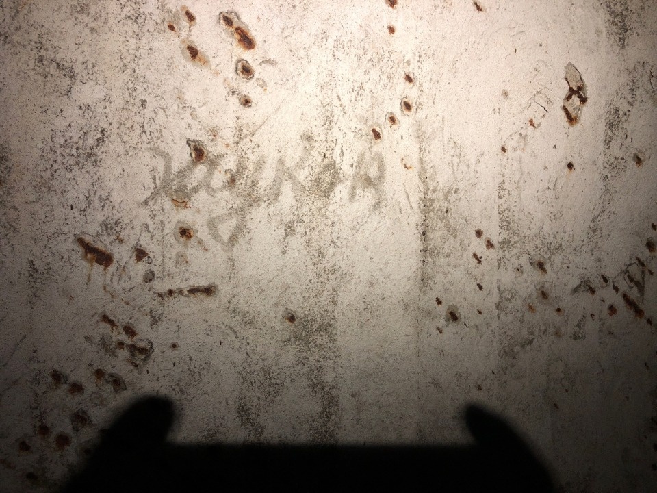 Необычные находки обнаружили во время экспедиции в Себежском районе 