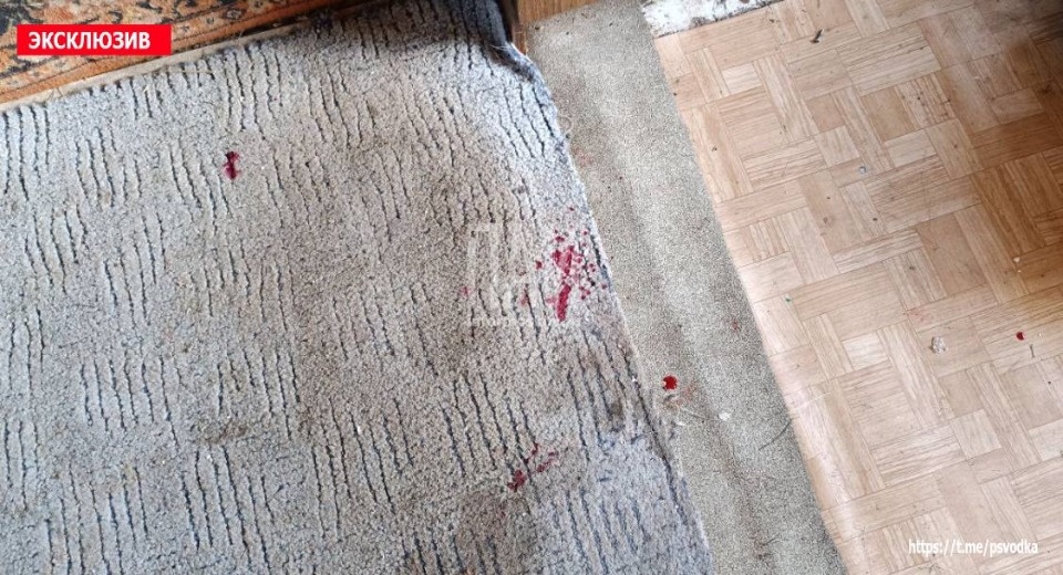 Великолучанка изрезала пьяного мужчину ножом Великолучанка изрезала пьяного мужчину ножом