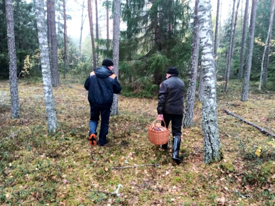 Меньше суток ушло у спасателей на поиски грибника в Печорском районе 