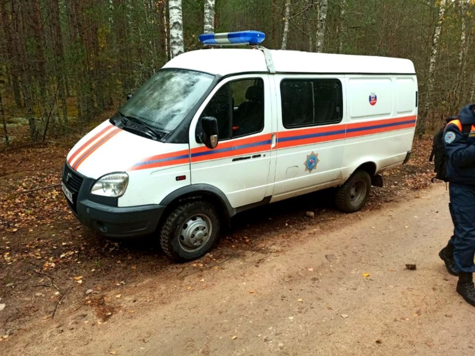 Меньше суток ушло у спасателей на поиски грибника в Печорском районе 