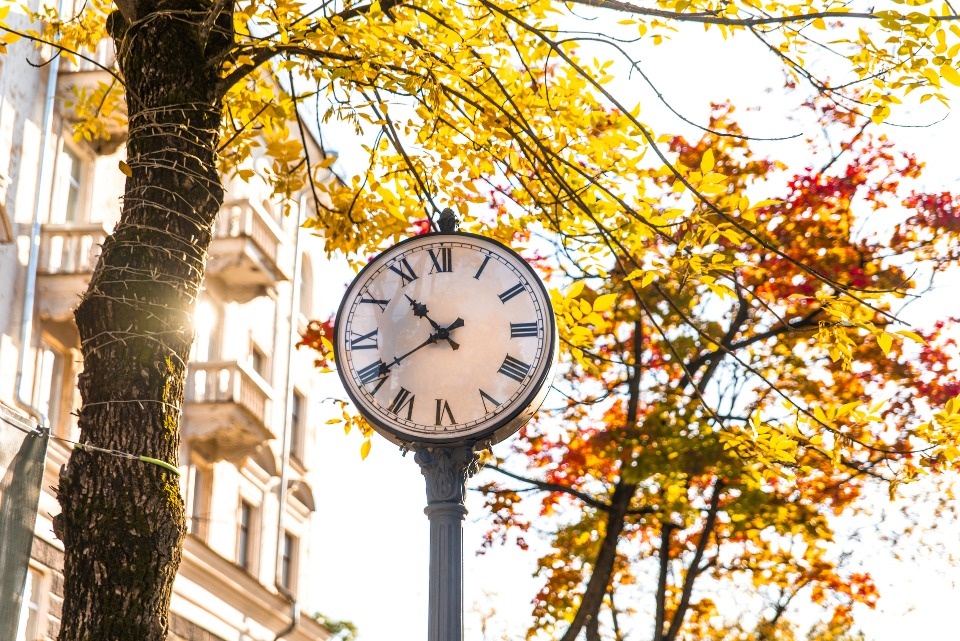 До +14 градусов прогреется воздух в Псковской области 12 октября