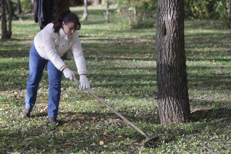 Чистая пятница Чистая пятница