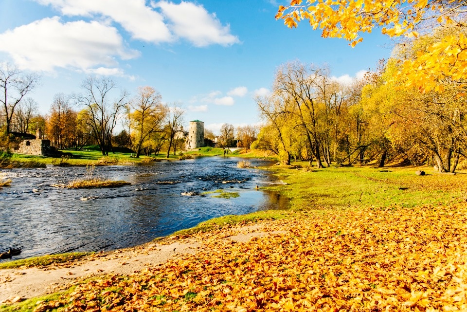 До +19 градусов потеплеет в Псковской области 14 октября