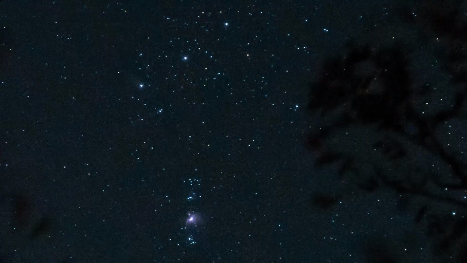 Пояс и туманность Ориона запечатлели на ночном небе псковские астрономы-любители Пояс и туманность Ориона запечатлели на ночном небе псковские астрономы-любители