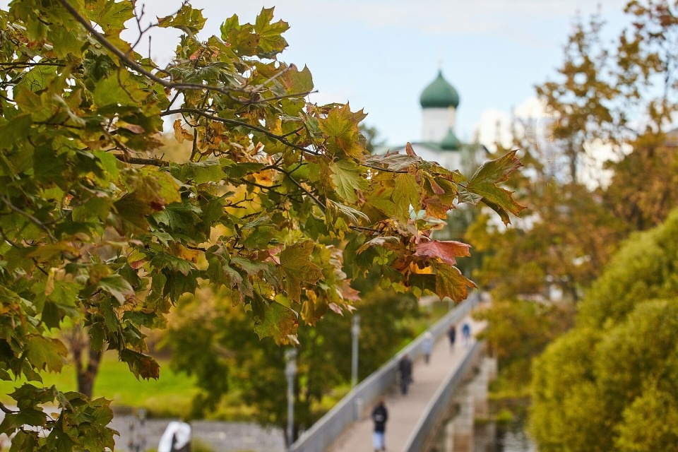 Небольшой дождь прогнозируется в Псковской области 17 октября
