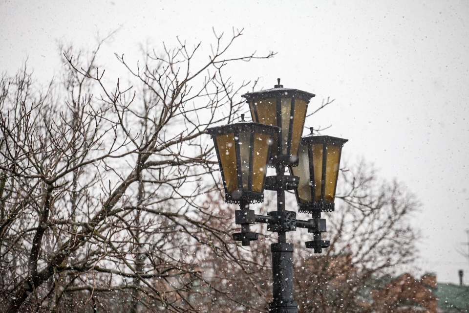 После 20 октября в Псковскую область придут заморозки