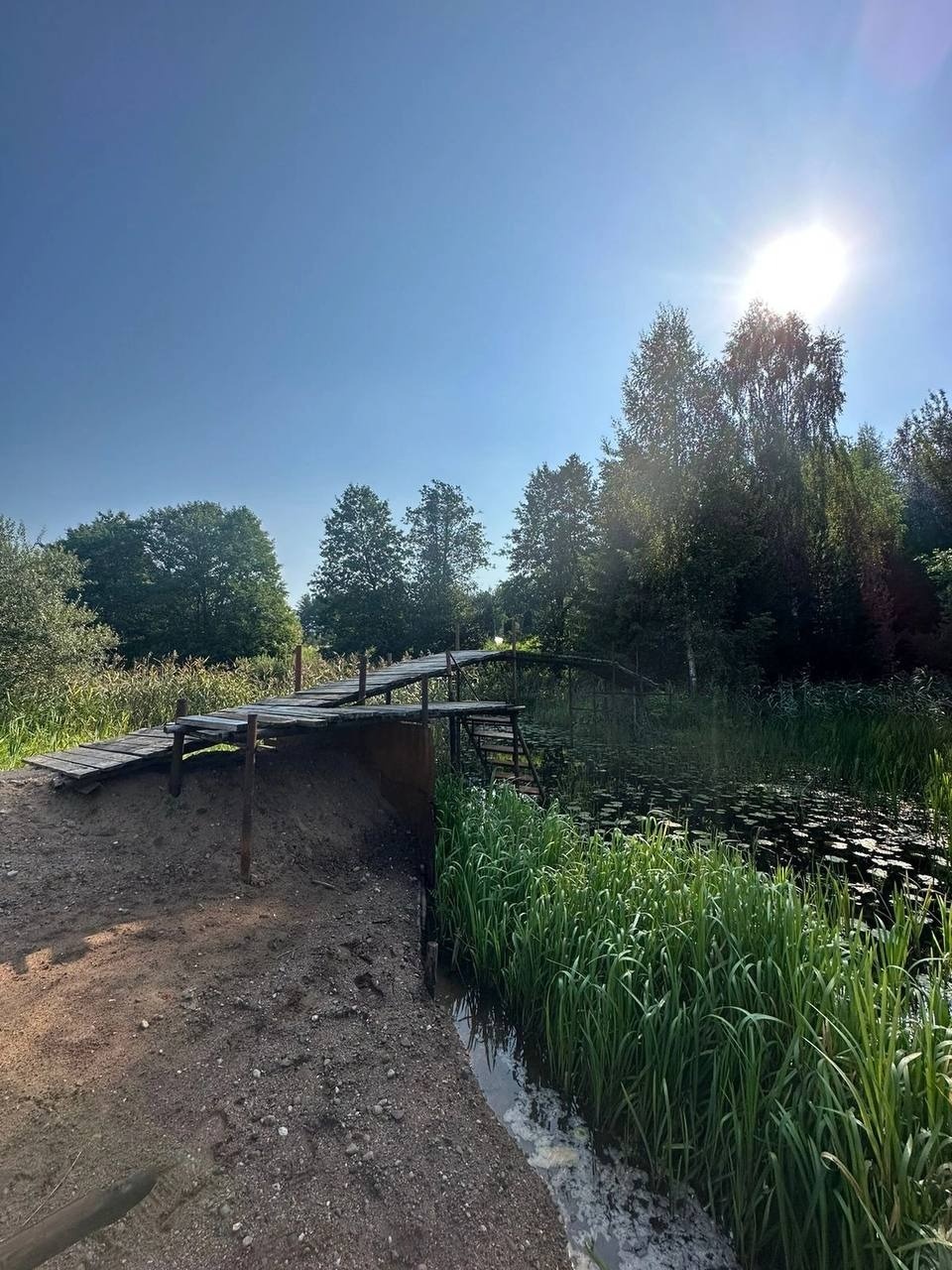 Пенсионера обязали снести свой мост в акватории реки Раслица в Великолукском районе Пенсионера обязали снести свой мост в акватории реки Раслица в Великолукском районе