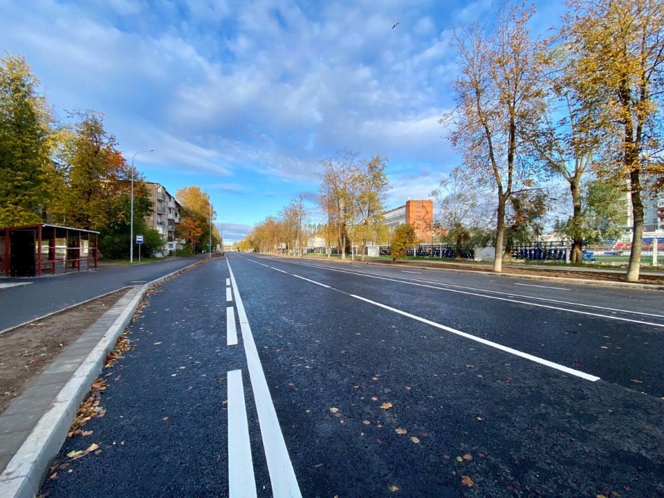 Кустарники высадят на улице Яна Фабрициуса в Пскове Кустарники высадят на улице Яна Фабрициуса в Пскове