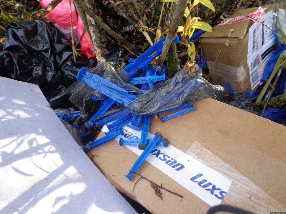 Тела мертвых животных обнаружили в лесу в Псковском районе Тела мертвых животных обнаружили в лесу в Псковском районе