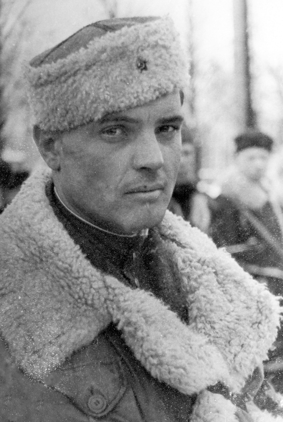 «В графе «Истребление»