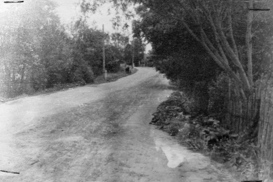 «В графе «Истребление»