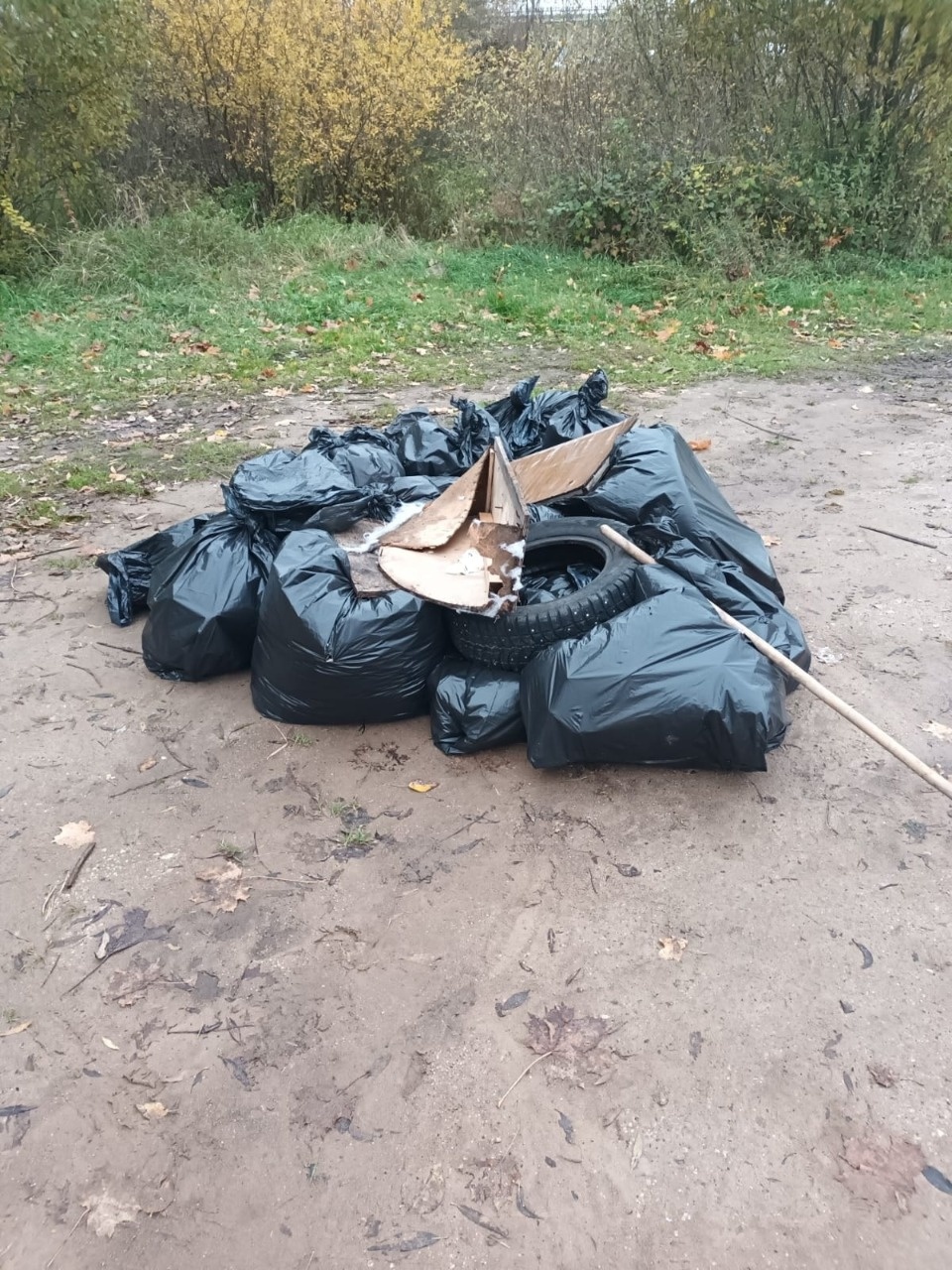 Псковские профсоюзы вышли на субботник