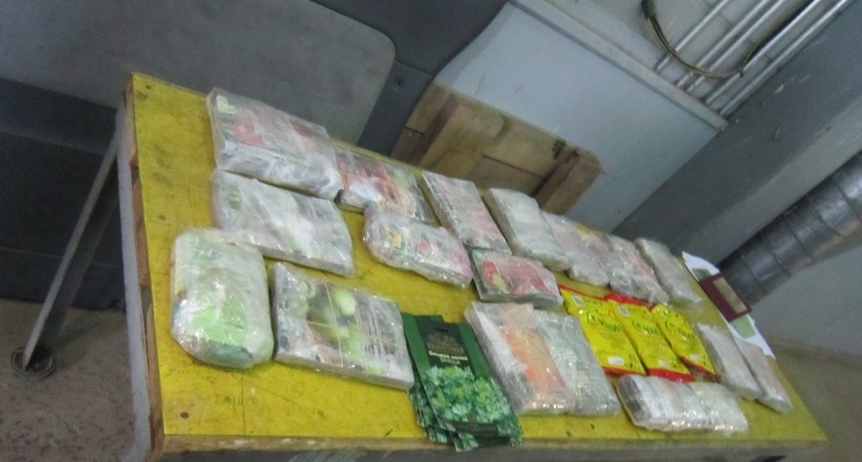 «Фермерский набор» попытался провезти иностранец в дверях машины через псковскую госграницу «Фермерский набор» попытался провезти иностранец в дверях машины через псковскую госграницу