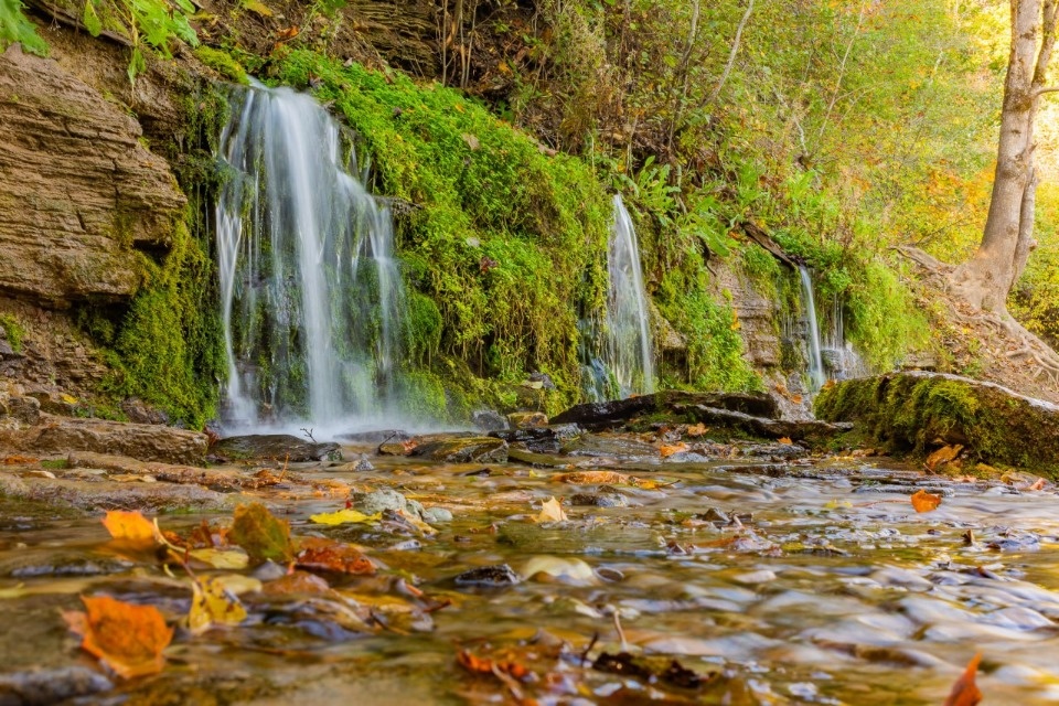 Проект благоустройства тропы к Словенским ключам разрабатывают в Изборске
