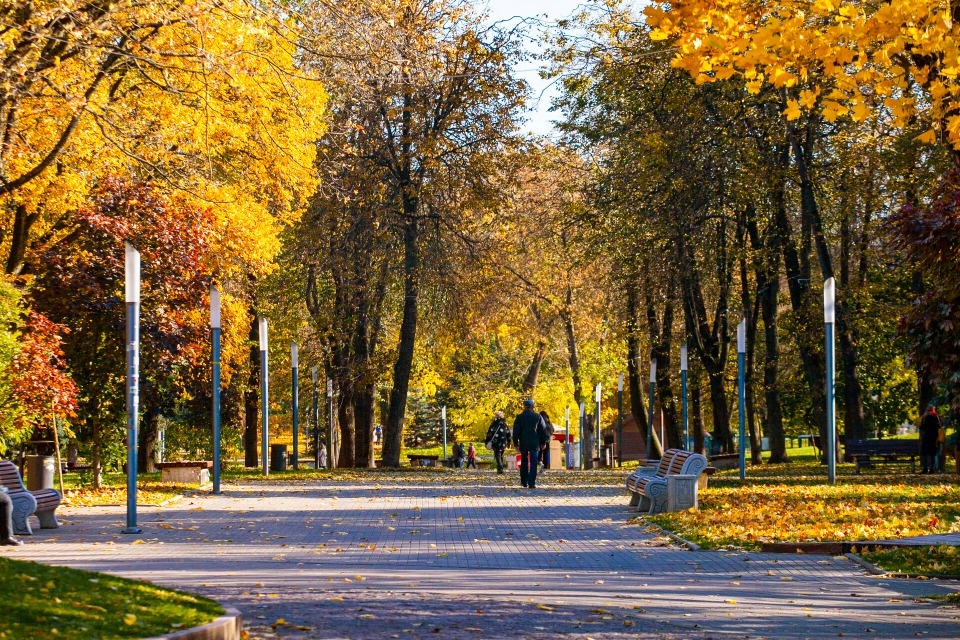 Небольшой дождь пройдет по Псковской области 26 октября