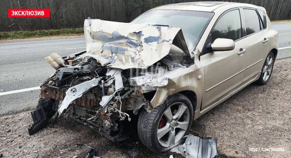 Женщине потребовалась госпитализация после аварии в Плюсском районе