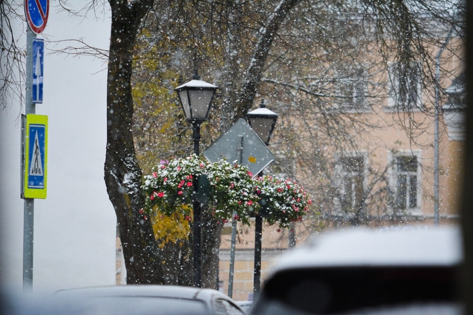 До +9 градусов и дождь прогнозируется в Псковской области 30 октября