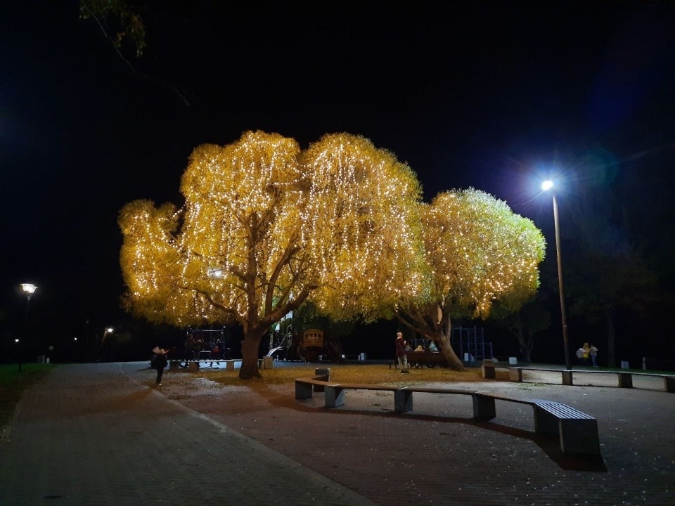 В Финском парке в Пскове приведут в порядок повисшие на ивах гирлянды В Финском парке в Пскове приведут в порядок повисшие на ивах гирлянды