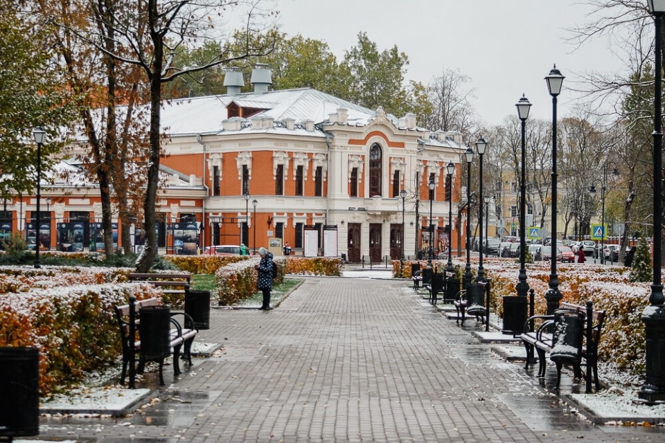 До +12 градусов прогреется воздух в Псковской области 31 октября