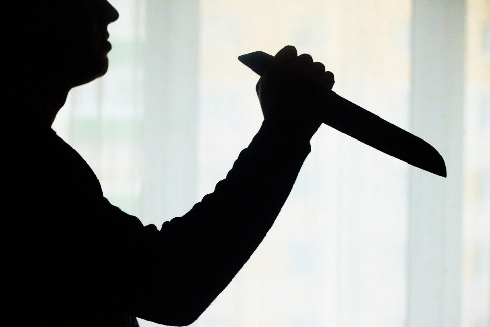 Псковичка приревновала парня к своей двоюродной сестре и ударила его ножом