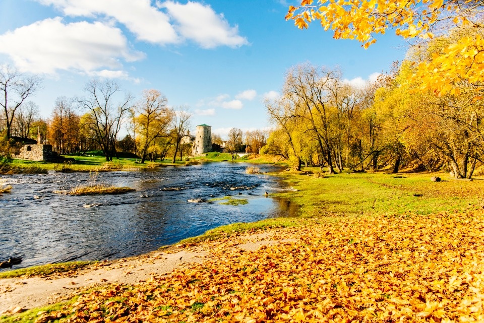 В ноябре в Псковской области прогнозируется две волны холода