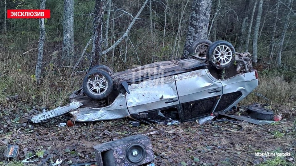 Двух человек госпитализировали после ДТП в Стругокрасненском районе